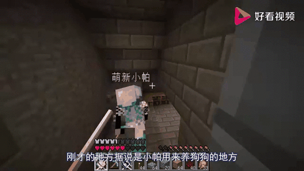 小帕我的世界解说