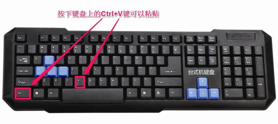 笔记本电脑的复制快捷键