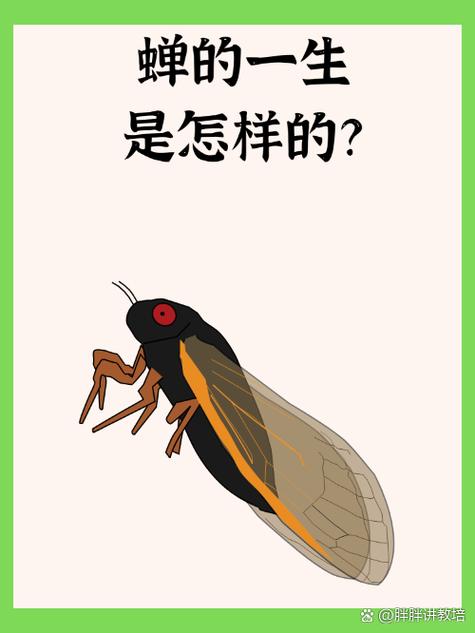 小孔小孔壁纸截图2