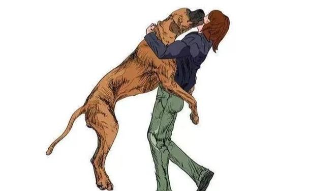 狗狗往人身上扑还轻咬