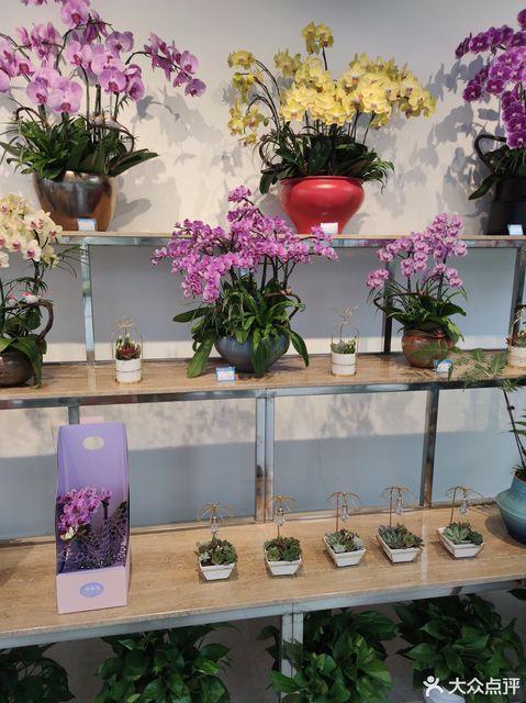 上海花店