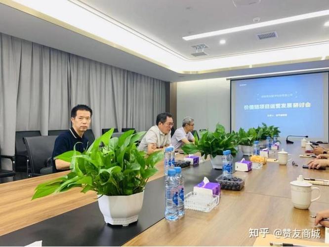 赞友商城期权能上市吗截图3