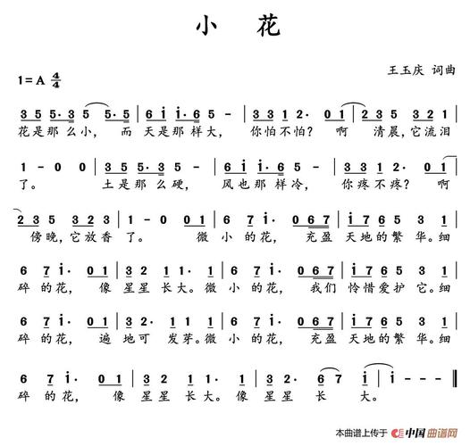 基督教小花船剧本