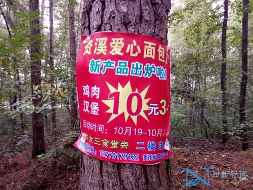 广告挂出来叫什么