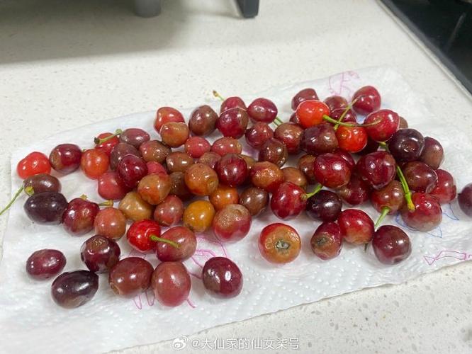 樱桃煮水为什么会拉肚子
