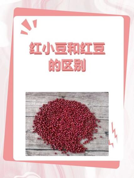 克拉克拉红豆和贵族红豆