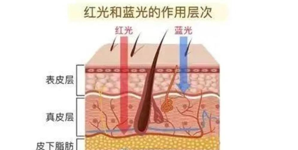 蓝光修复皮肤的原理