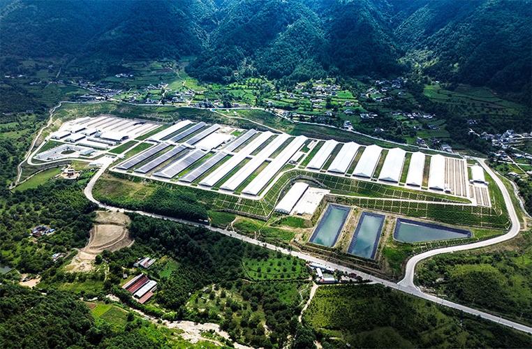 云南养殖业国家扶持的项目有哪些