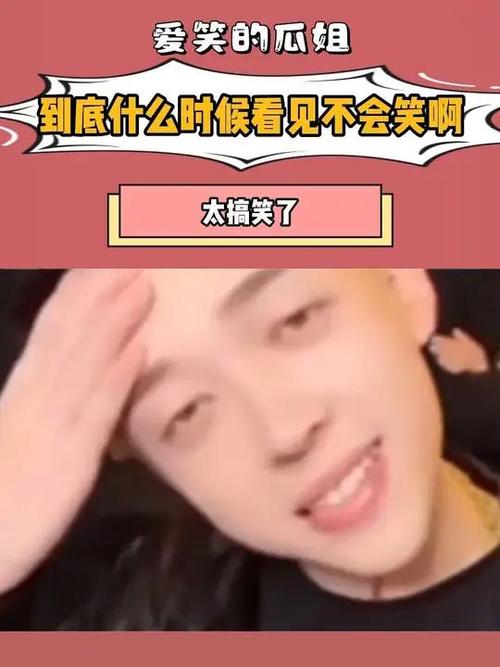饭圈瓜姐