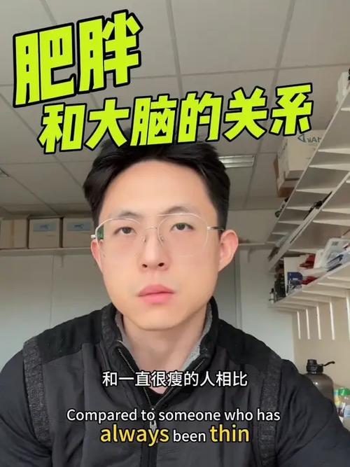 烧脑与肥胖的关系截图3