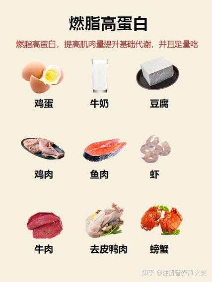 高蛋白高热量的食物有哪些