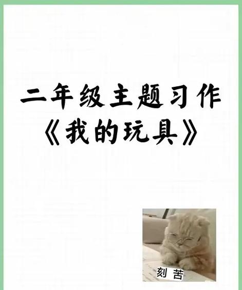 最喜欢的玩具二年级
