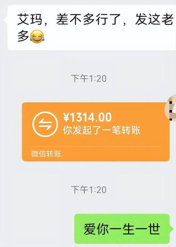 别人自愿给我转账 又让我还截图2