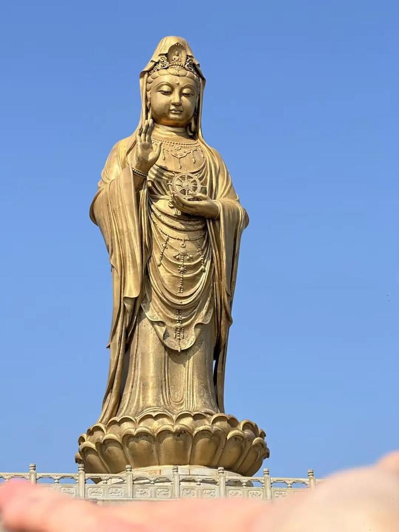 普陀体耐敏是不是废了