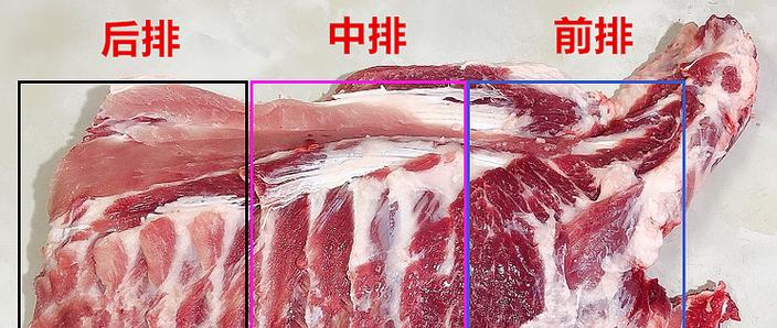 排骨和肉排的区别