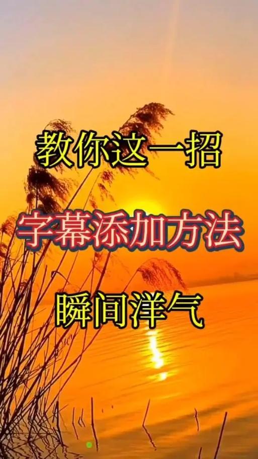 短视频上的字幕怎么弄的