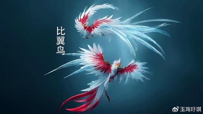 比翼之鸟简介