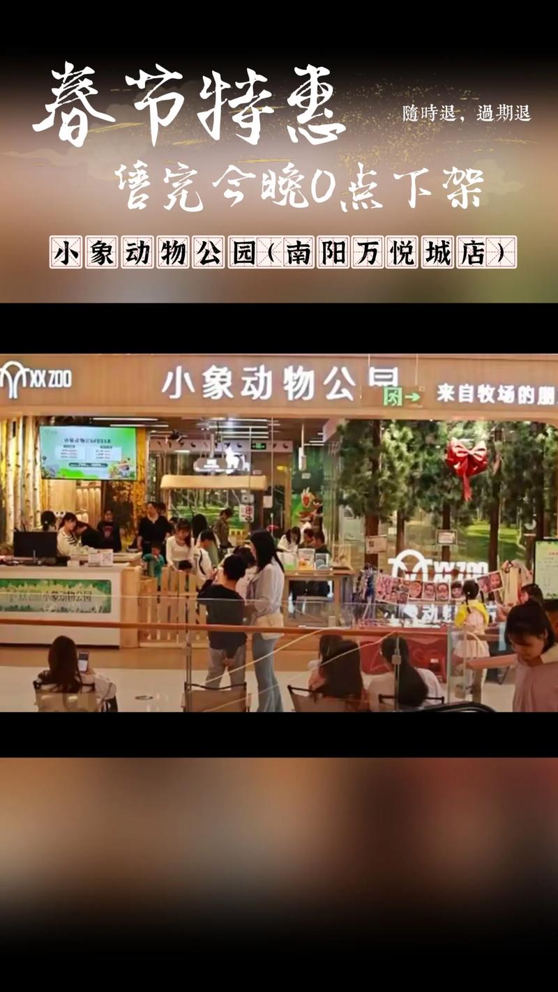 大象花呗的特色