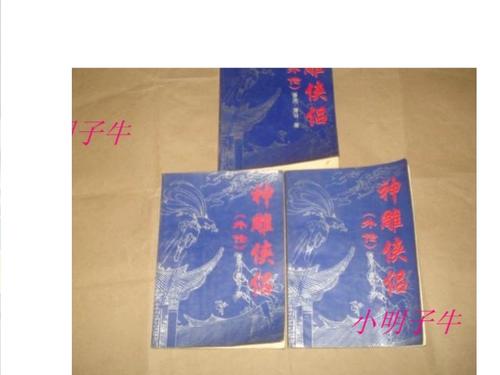 神雕侠侣外传