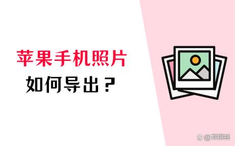 苹果照片下载并保留原片