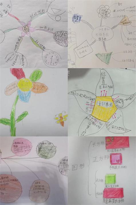 智慧树学生版截图3