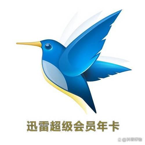 迅雷vip一天激活码截图2