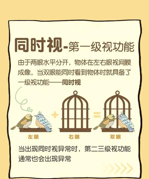 什么叫视功能?