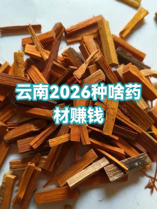 2026种药材最挣钱