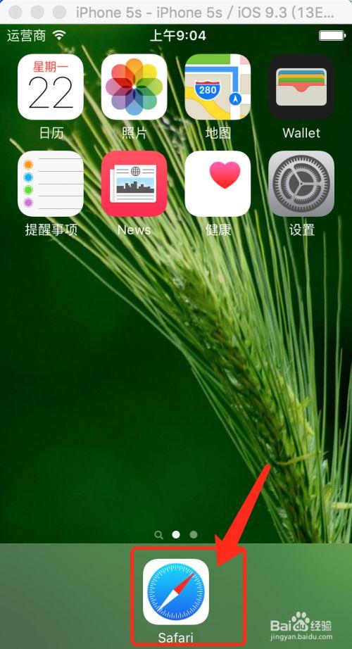 safari手机版变网站版