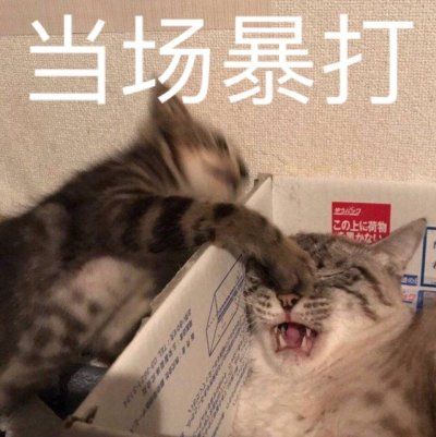 一顿暴打表情包