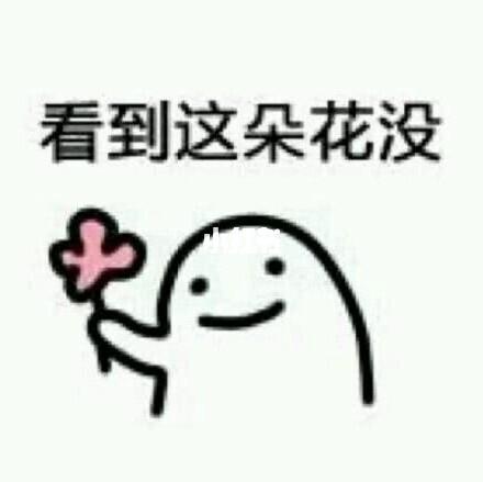 扔花表情包