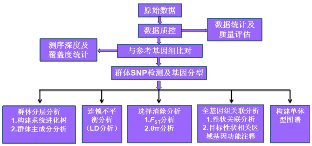 关联分析流程要点
