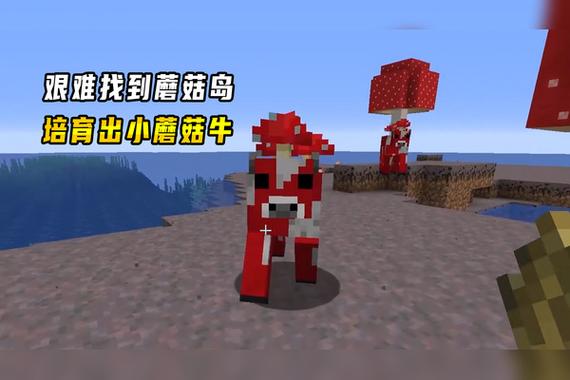 老迪解说
