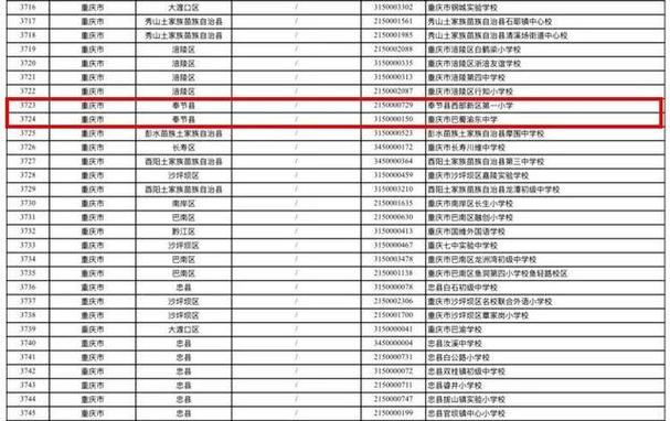 重庆足球特色学校名单