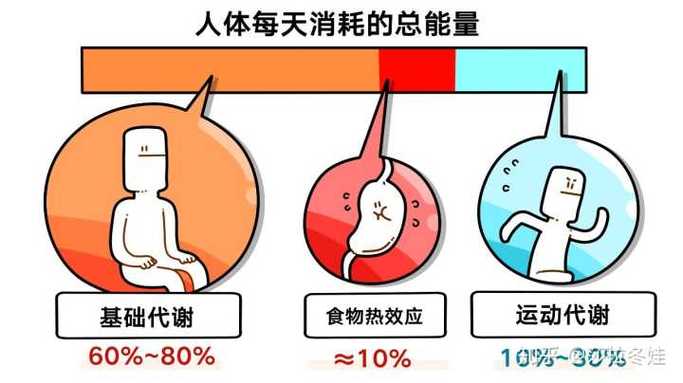 青少年每天需要的能量