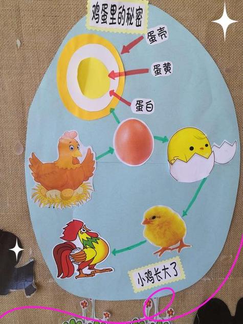 蛋宝宝的秘密主题活动