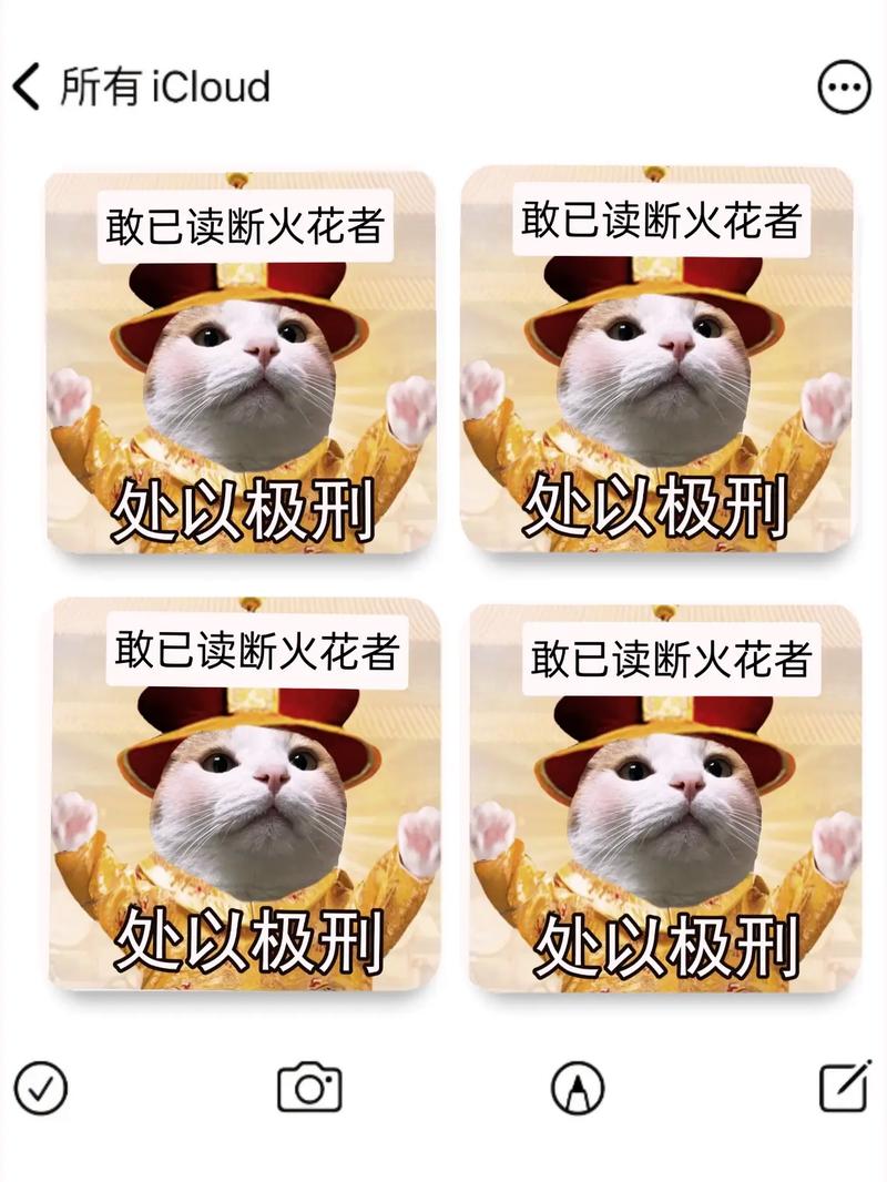 QQ续火花发什么好