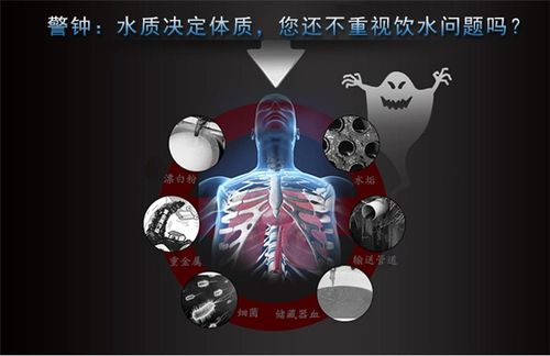 量子低频共振仪