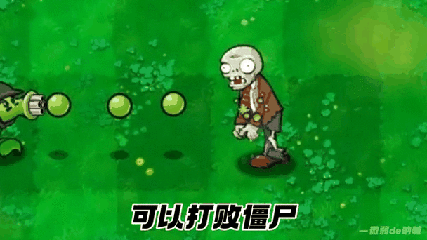 植物大战僵尸动图gif