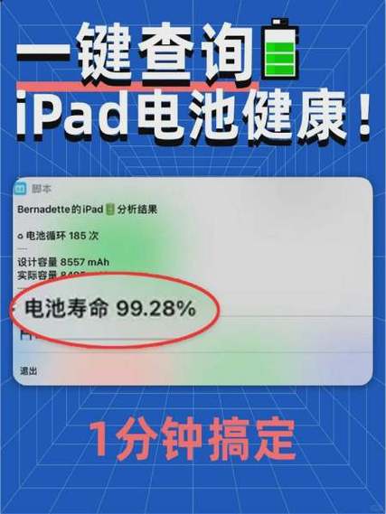 iPad电池寿命怎么看