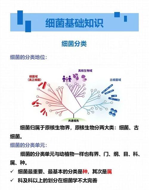 细菌同种同源如何鉴定