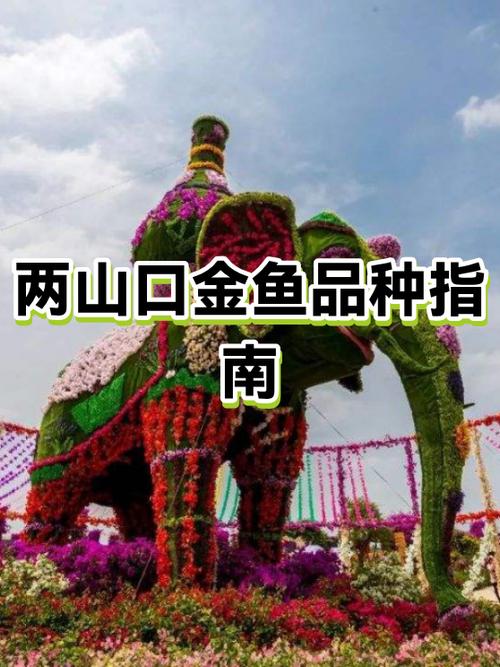 山口最好三个品种