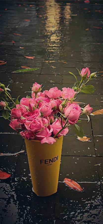 玫瑰花网图小众