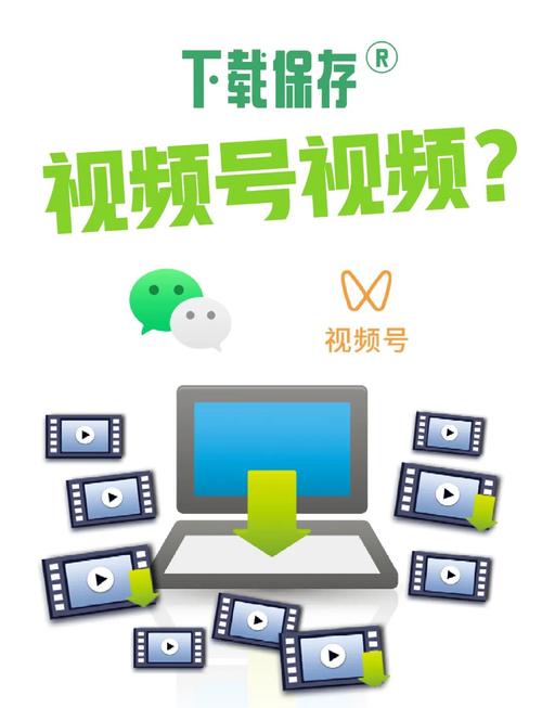手机视频号网页版入口