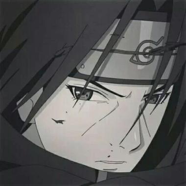 少年鼬的头像