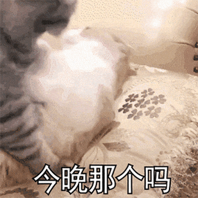 女朋友老说我不正经啥意思