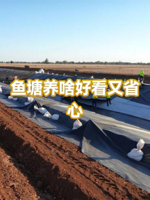 为什么男生都喜欢养鱼塘