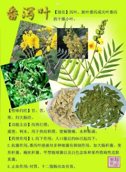 中国中草药图典大全电子版