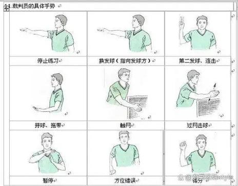 羽毛球教学软件