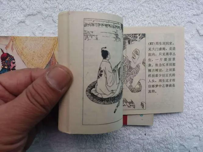 玉娇龙阅读全文